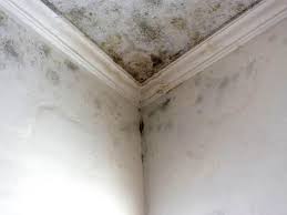 Best Residential Mold Inspection & Testing in Hydro, OK