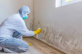 Best Forensic Mold Investigation in Hydro, OK